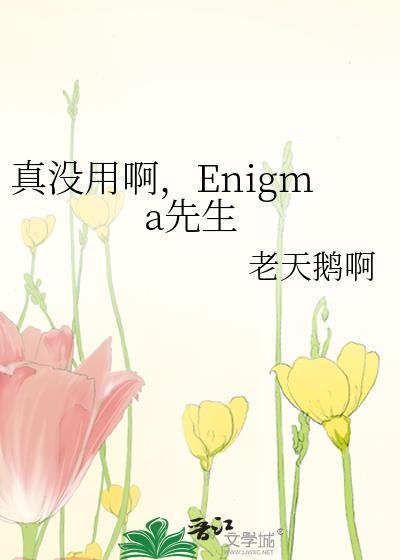 真没用啊enigma先生txt