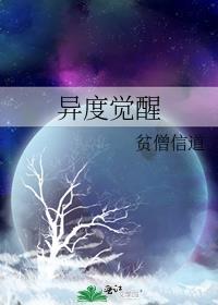 异度觉醒大结局