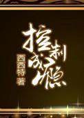 控制成瘾txt书包网