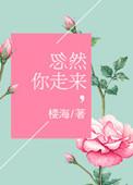 忽然你走来by楼海txt