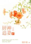 厨神追妻记 百度