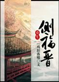 重生侧福晋青莲花神