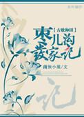 枣儿沟发家记百度