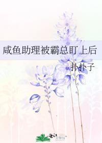 这个杀手不太冷原版完整