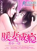 暖妻成瘾完整版