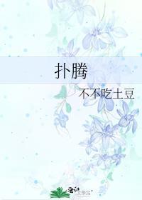 扑腾的蛾子