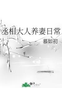 丞相大人养妻日常无广告