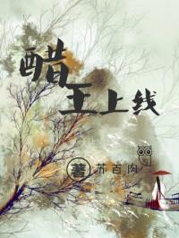 醋王王爷