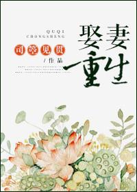 娶妻娶娇重生