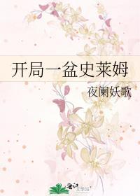 开局一只史莱姆100倍经验