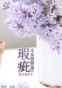 瑕疵还是暇疵