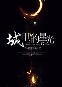 城里的星光txt百度