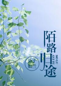 陌路归途短剧免费观看