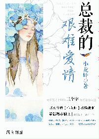 总裁的艰难爱情剧情介绍