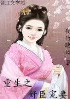 重生之佞臣gl133章更新