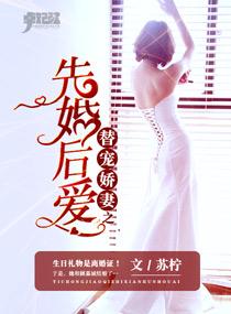 替嫁娇妻宠上瘾免费全文最新章节更