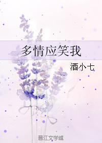 故国神游