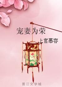宠妻为上全文免费阅读完本