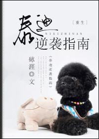 泰迪技能训练方法