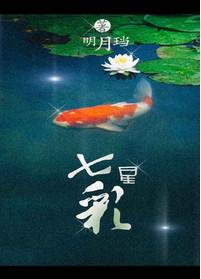 七星彩今晚开奖号码查询
