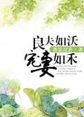 良夫如沃宠妻如禾TXT笔趣阁