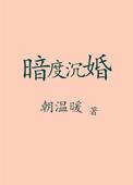 暗度沉婚无错版