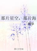 那片星空那片海是哪一年的