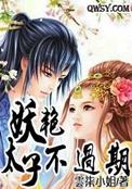 妖孽太子桃花多全文阅读