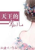 有几本叫天王的啊