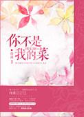 你不是我的菜娱乐圈是双洁吗