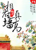 相府墙真高TXT