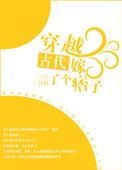 穿越古代嫁了个痞子全文阅读