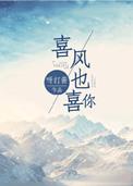 喜风也喜你txt