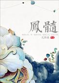 凤髓全文免费阅读