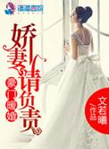 豪门暖婚之娇妻请负责讲的什么
