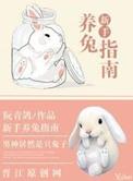 新手养兔子的必备清单