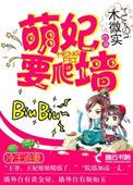 冷王追妻弃妃三嫁免费