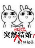 突然和总监结婚了by林知落百度