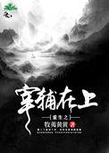 重生之宰府在上在线阅读