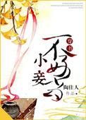 小妾不好当书评