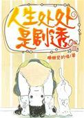 人生处处是bug