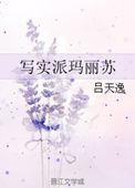 写实派玛丽苏封面