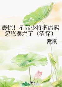 星际之少将受