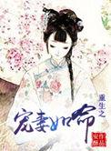 重生之宠妻如命by算尽机关免费