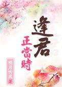 逢君正当时破军卷