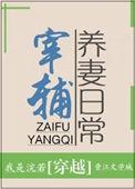 宰辅养妻日常 晋江
