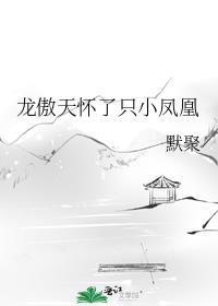 龙傲天全文阅读