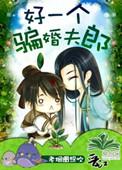 好一个骗婚夫郎全文阅读