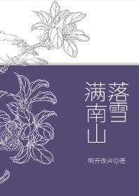 落雪满南山第28章