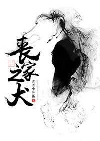 丧家之犬正确用法
